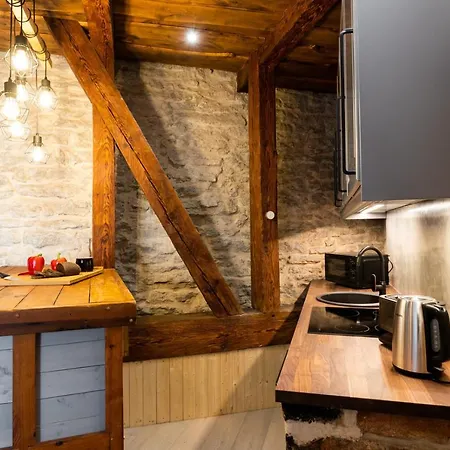 Hilltop - Old Town Kuninga 아파트 탈린